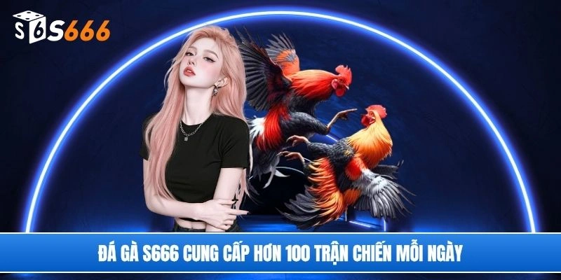 Đá gà S666 cung cấp hơn 100 trận chiến mỗi ngày